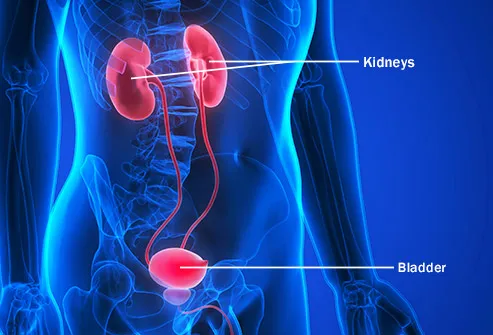 Λαπαροσκοπική Αποκατάσταση Στενωμάτων Ουρητήρα - image